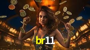 Security Systems br11